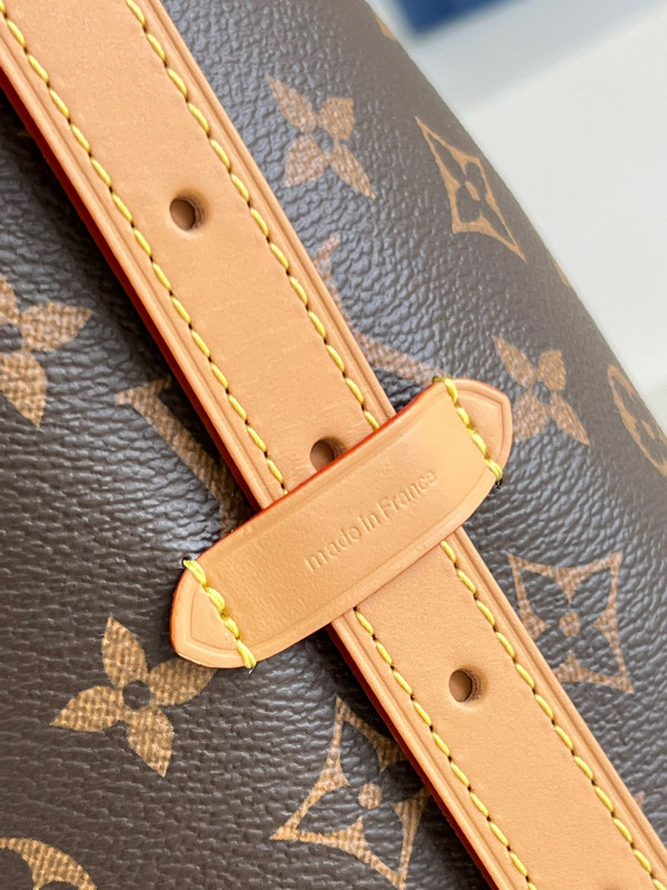 l0*is V*t0n carryall mm