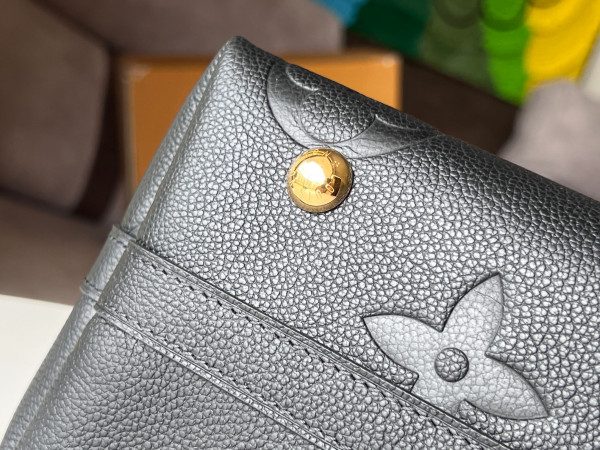 l0*is V*t0n carryall mm